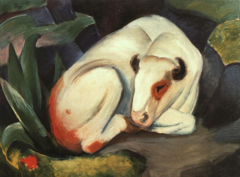 Franz Marc The Bull china oil painting image